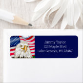 Hand Drawn Bald Eagle und Patriotic amerikanische  (Insitu)