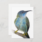 Hand-drawn blue tinted hummingbird notecard. dankeskarte (Vorne/Hinten)
