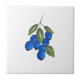 Hand Drawn Blueberries Fliese
