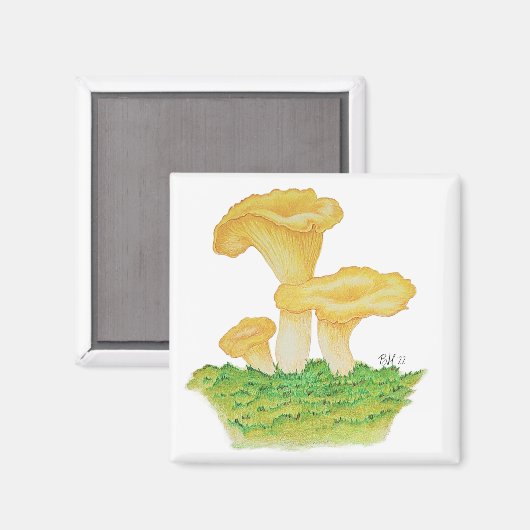 Hand Drawn Chanterelle Mushroom Magnet (Vorderseite/Rückseite)
