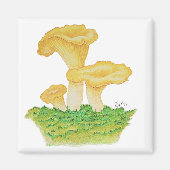 Hand Drawn Chanterelle Mushroom Magnet (Vorne)