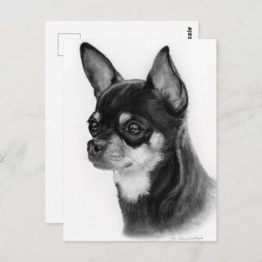 Hand Drawn Chihuahua Head Study Postkarte (Vorne/Hinten)