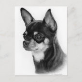Hand Drawn Chihuahua Head Study Postkarte (Vorderseite)