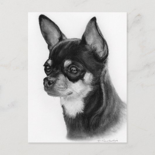 Hand Drawn Chihuahua Head Study Postkarte (Vorderseite)