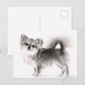 Hand Drawn Chihuahua Postkarte (Vorne/Hinten)