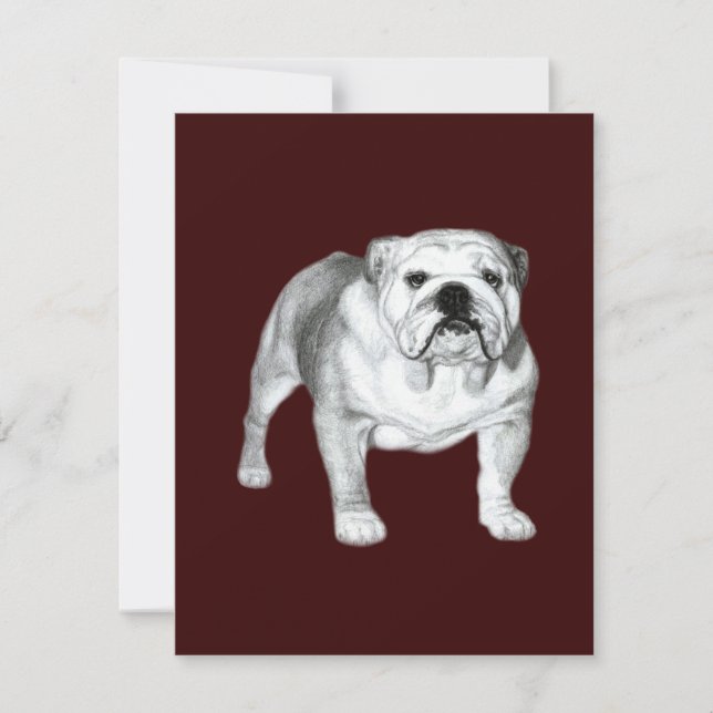 Hand Drawn English Bulldog (Vorderseite)