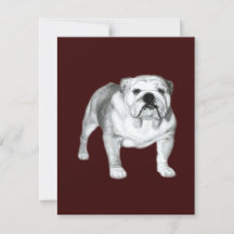 Hand Drawn English Bulldog