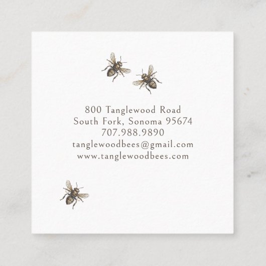 Hand Drawn Honey Bee Beekeeper Apiary Floral Squar Quadratische Visitenkarte (Rückseite)
