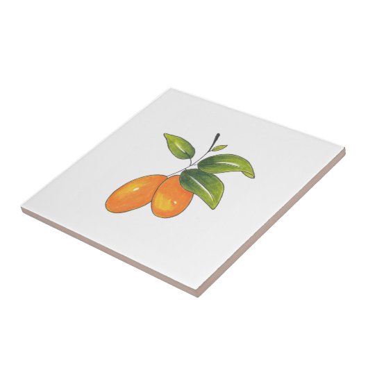 Hand Drawn Kumquats Fliese (Seite)