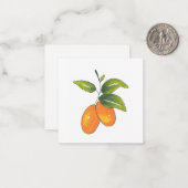 Hand Drawn Kumquats Mitteilungskarte (Vorderseite/Rückseite Beispiel)