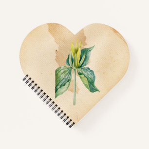 Hand Drawn Weck Robin Notizblock