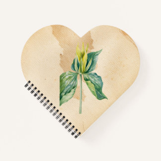 Hand Drawn Weck Robin Notizblock