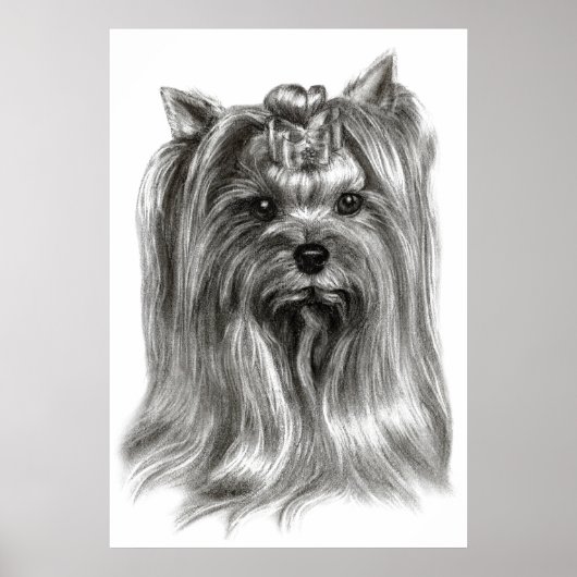 Hand Drawn Yorkshire Terrier Poster (Vorne)