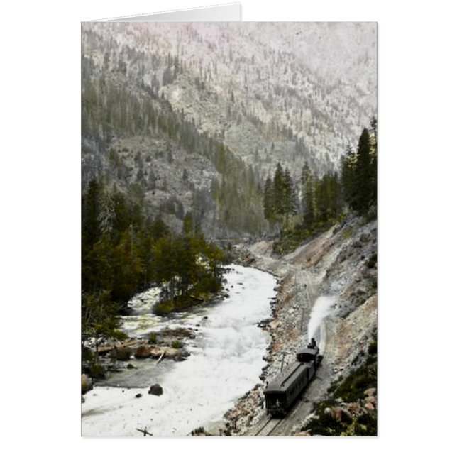 Hand farbiger Zug Offcial Photographe (Vorne)