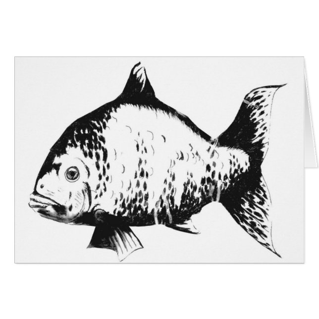 Hand gezeichnete Fische (Vorderseite (Horizontal))