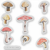 Hand-Illustrated Mushrooms Whimsical Woodland Aufkleber (Vorderseite)