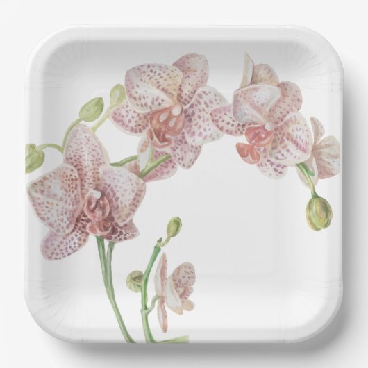 Hand Illustriert Orchid Pappteller (Vorderseite)