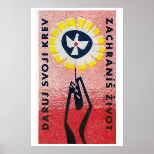Hand mit Blumen haltende Friedenstaube - Matchbox- Poster (Vorne)