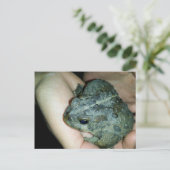 Hand mit einem Totenfrosch Feiertagspostkarte (Stehend Vorderseite)