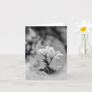 Hand mit Lilien haltend – Schwarze und weiße Beile Karte