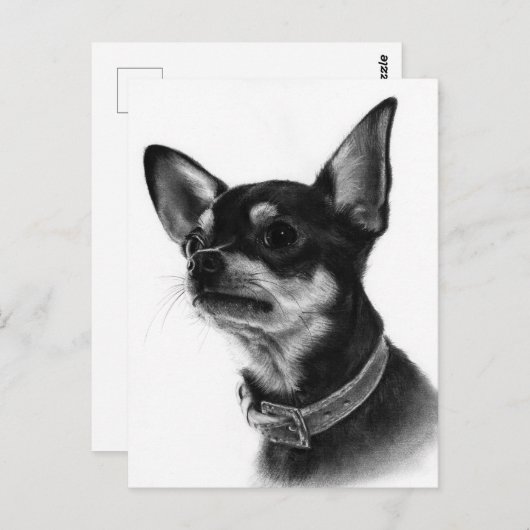Hand Painted Chihuahua Head Study Postkarte (Vorne/Hinten)