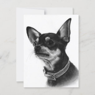 Hand Painted Chihuahua Head Study Postkarte