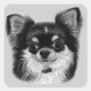 Hand Painted Chihuahua Quadratischer Aufkleber