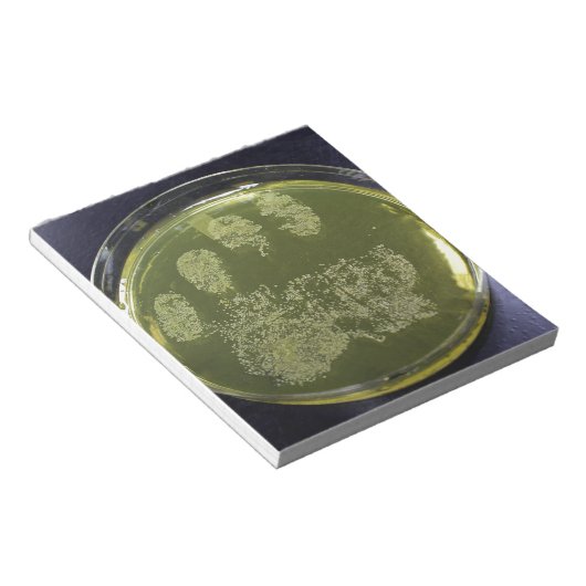 Hand Petri Dish Bacteria Notizblock (angewinkelt)