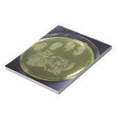 Hand Petri Dish Bacteria Notizblock (Rotiert)