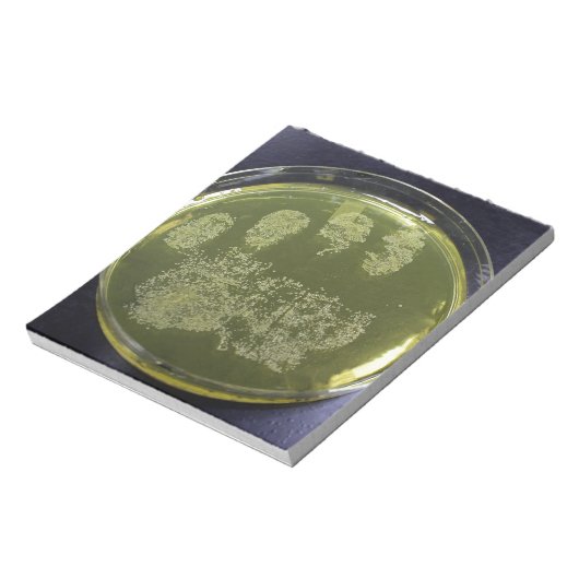 Hand Petri Dish Bacteria Notizblock (Rotiert)