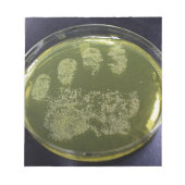 Hand Petri Dish Bacteria Notizblock (Vorderseite)