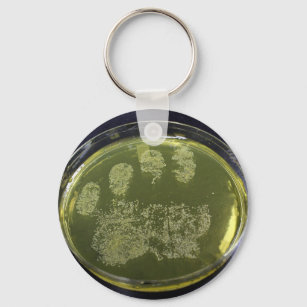 Hand Petri Dish Bacteria Schlüsselanhänger