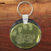 Hand Petri Dish Bacteria Schlüsselanhänger (Vorderseite)