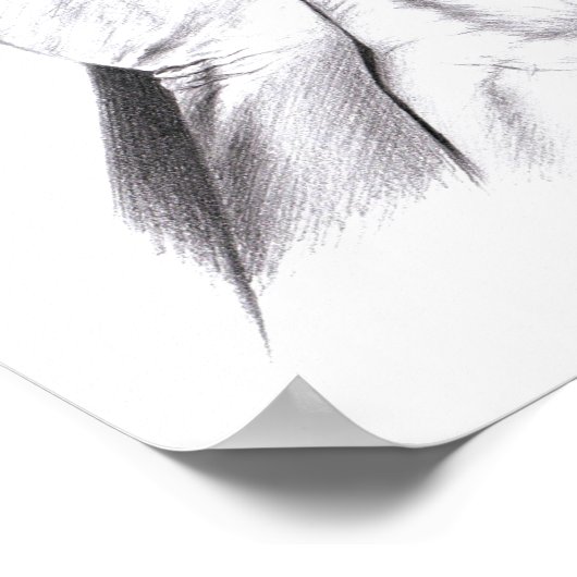 Hand shadow Flying birds Illusion Surreal art Poster (Ecke)