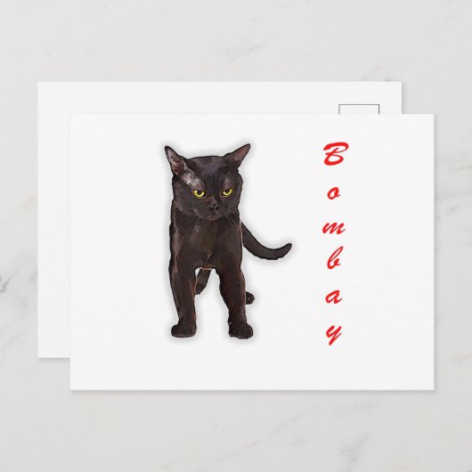 Hand Zeichn Funny Bombay Katze Japan Geschenk Vate Postkarte (Vorne/Hinten)