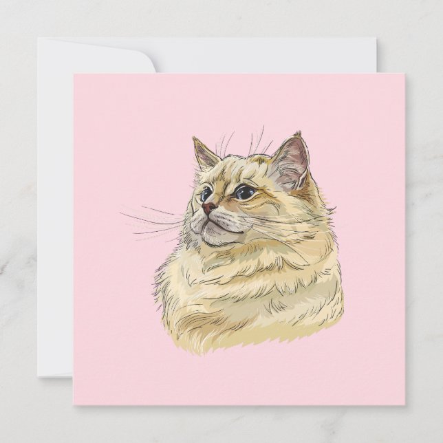 Hand zeichne lustige, flauschige Ragdoll-Katze (Vorderseite)