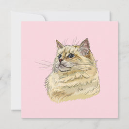 Hand zeichne lustige, flauschige Ragdoll-Katze