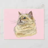 Hand zeichne lustige, flauschige Ragdoll-Katze Postkarte (Vorderseite)
