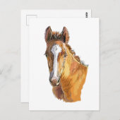 Hand zeichnend kleine niedliche Fohlen Kissenholz Postkarte (Vorne/Hinten)