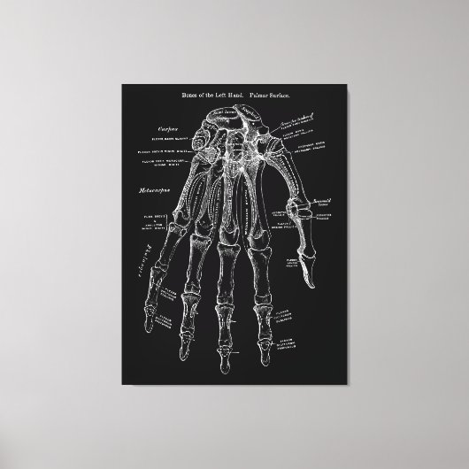 Handanatomie Große Leinwand Mauer Art 36x48" (Vorderseite)