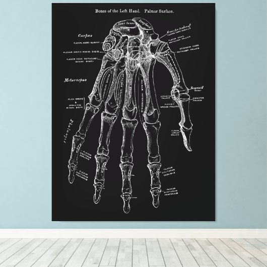 Handanatomie Große Leinwand Mauer Art 36x48" (Insitu (Holzboden))
