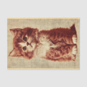 Handbestickte Niedliche Fluffy Kitten BY9 Decoupag Seidenpapier (Vorderseite)