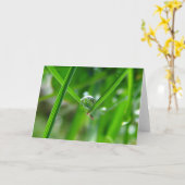 Händchen, Taubstropp-Poesie der Natur Karte (Gelbe Blume)