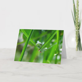 Händchen, Taubstropp-Poesie der Natur Karte