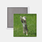 Händchen und Briefmarke Magnet (Vorderseite/Rückseite)