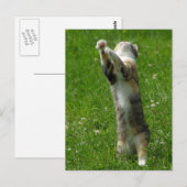 Händchen und Briefmarke Postkarte (Vorne/Hinten)