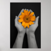 Händchen zur Sonnenblume Poster (Vorne)