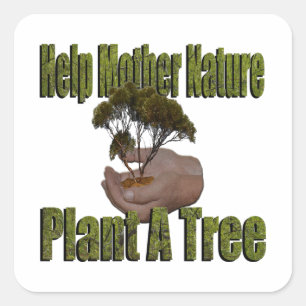 Hände, die einen wachsenden Baum halten, der Natur Quadratischer Aufkleber