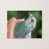 Hände, die laufende Taube outside.JPG halten Puzzle (Horizontal)