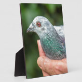 Hände mit Renntaube außerhalb.JPG Fotoplatte (Seite)